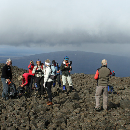 Í stórgrýtisurð uppi á Herðubreið  Kollóttadyngja.