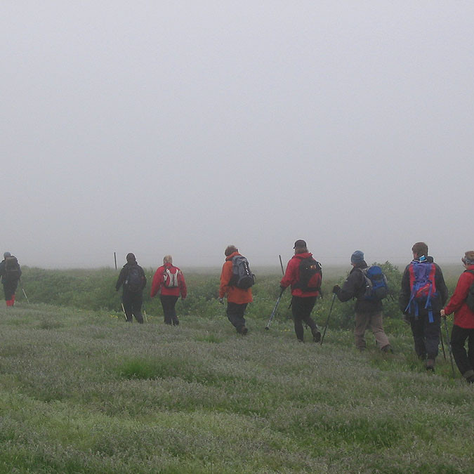 forsida-55-4690f5c90e9f0-1