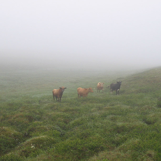 forsida-55-4690f64694132-1