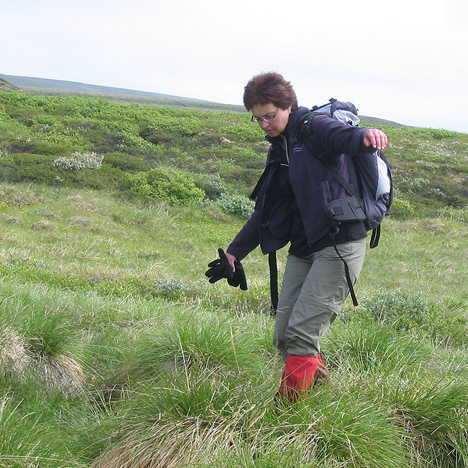 forsida-55-4690f89691167-1