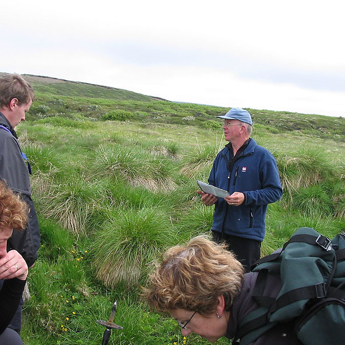 forsida-55-4690f8ad735ed-1