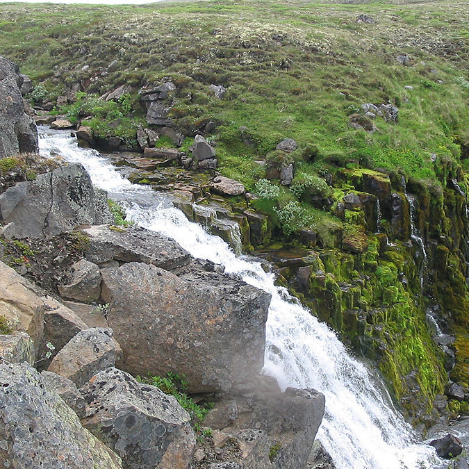 forsida-55-4690f925de8cc-1