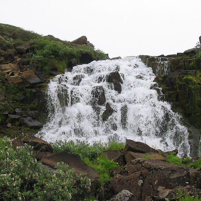 forsida-55-4690f95b2fbf8-1