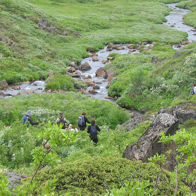 forsida-55-4690f97570b2c-1