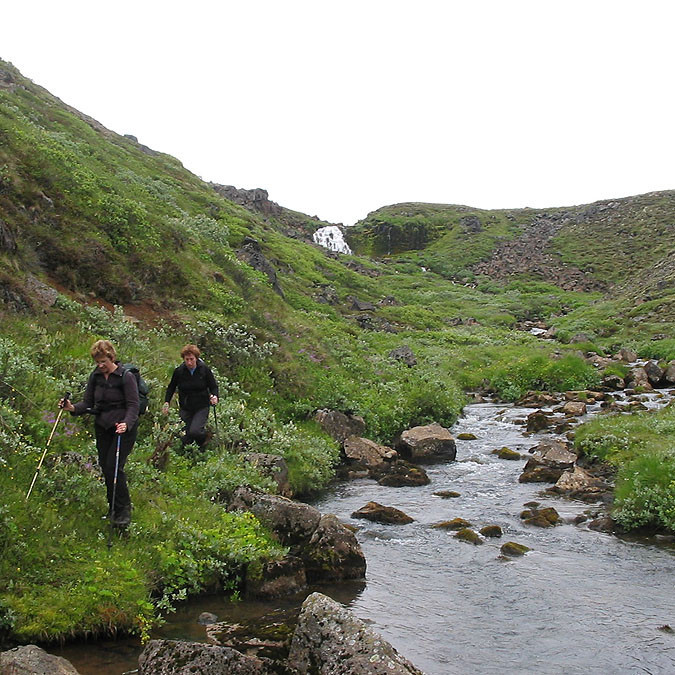 forsida-55-4690f9bbe8819-1