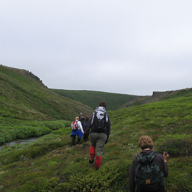 forsida-55-4690f9d1d399b-1