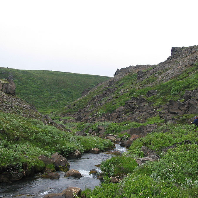 forsida-55-4690fa3fa2b8a-1