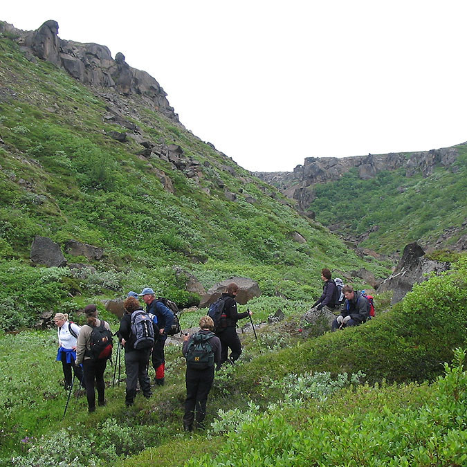 forsida-55-4690fa845451c-1