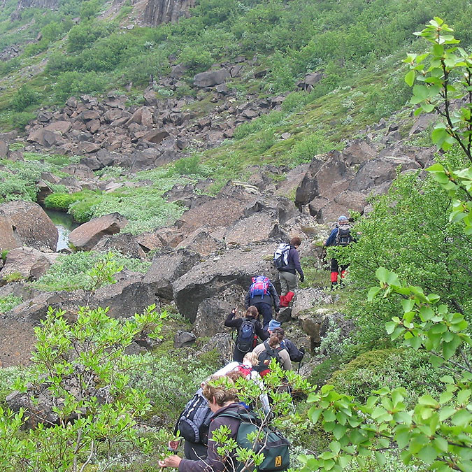 forsida-55-4690fab80c161-1