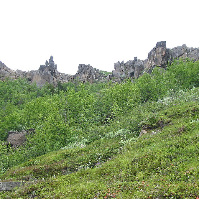 forsida-55-4690fb30ef5f6-1