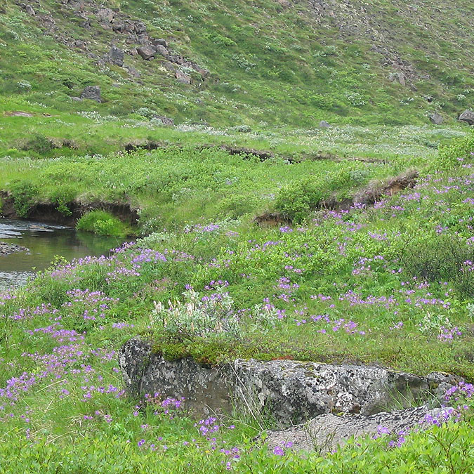 forsida-55-4690fb6b2bfa5-1