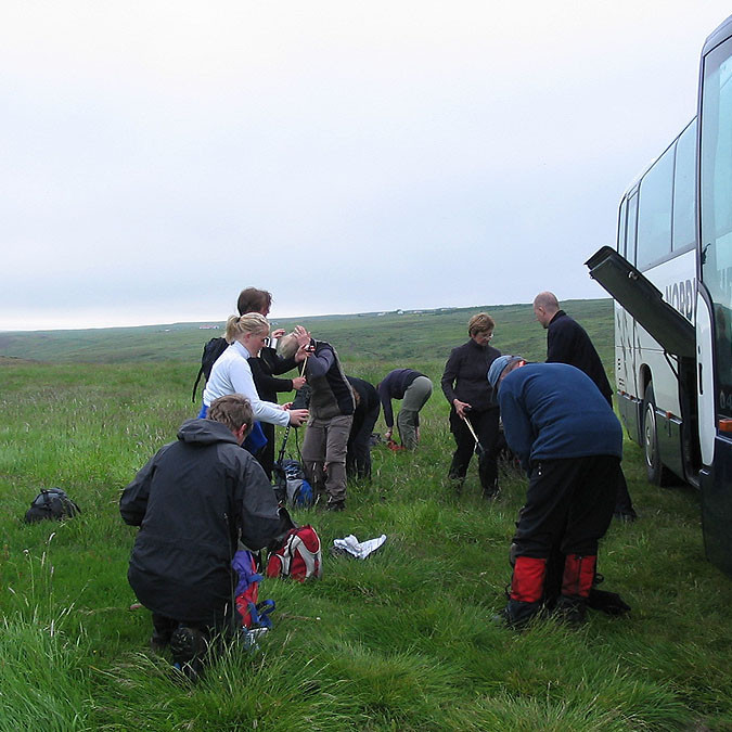 forsida-55-4690fbdf2bcfd-1