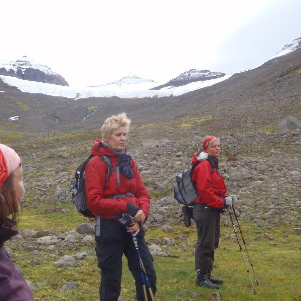 Hér er að verða gróðurlítið. Horft til Bægisárjökuls.