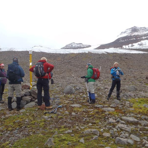 Í efstu grösum neðan við Bægisárjökul.