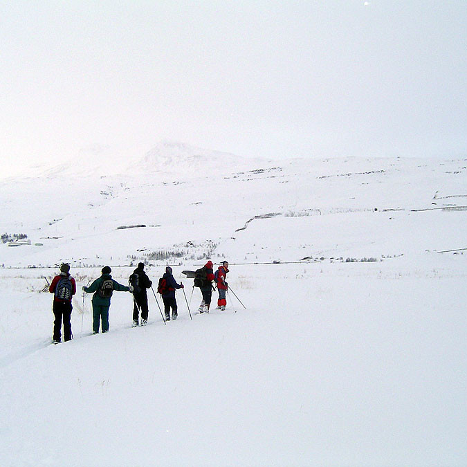 forsida-63-47a4b0cddc6cb-1