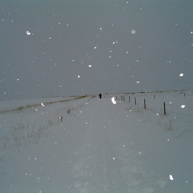 forsida-63-47a4b16f98ce8-1