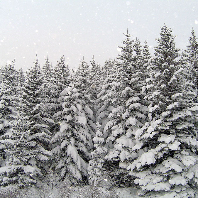 forsida-63-47a4b2532184c-1