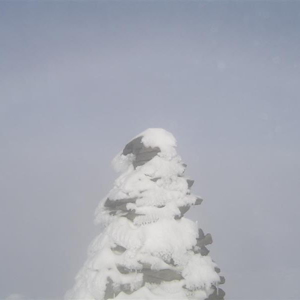 SantiPeturí regnboga.