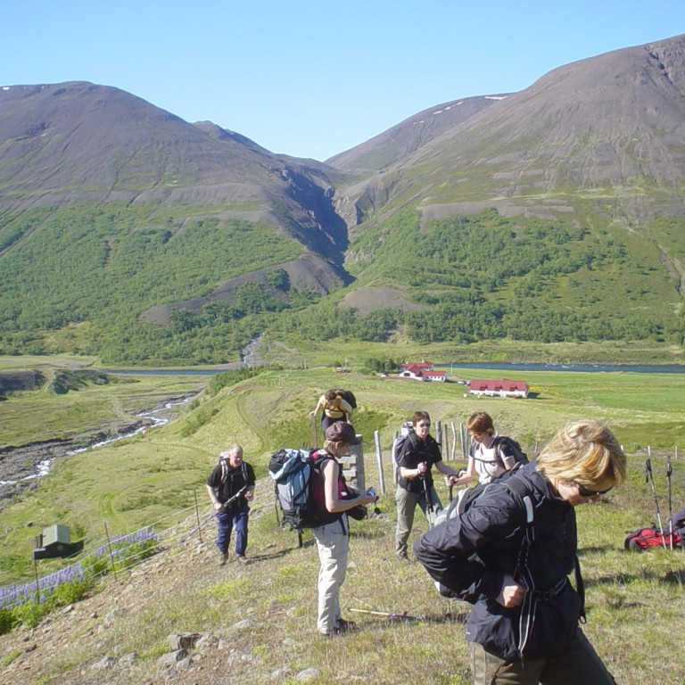 forsida-39-44f8a60a81d51-1