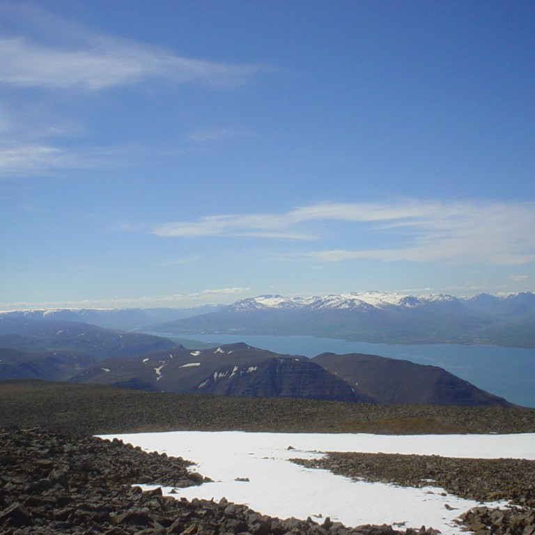 forsida-39-44f8a6948cd03-1