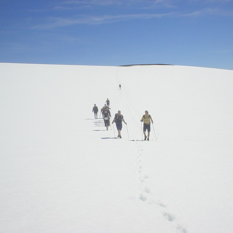 forsida-39-44f8a71a539cd-1