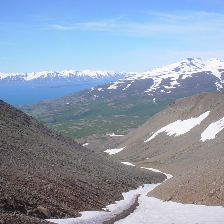 forsida-39-44f8a78d0dc3d-1