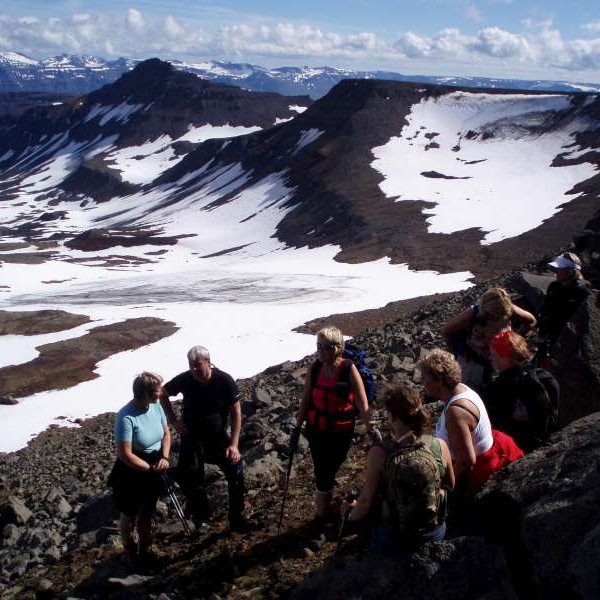 Stund milli stríða Krummi og Skarðsárhnjúkur í baksýn