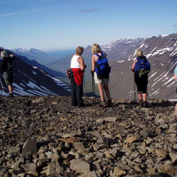 Dáðst að útsýninu