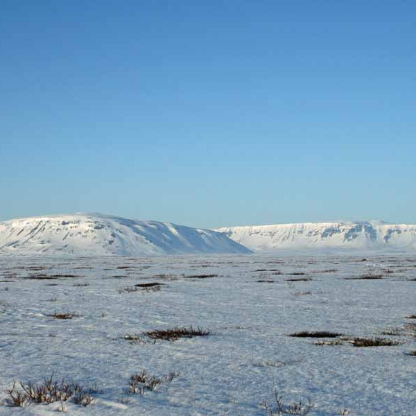 forsida-76-481f7bce75fa8-1