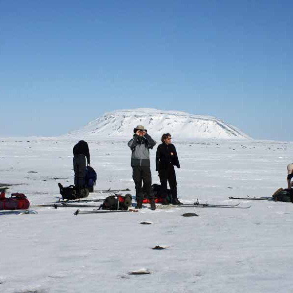 forsida-76-481f7cc6b5113-1