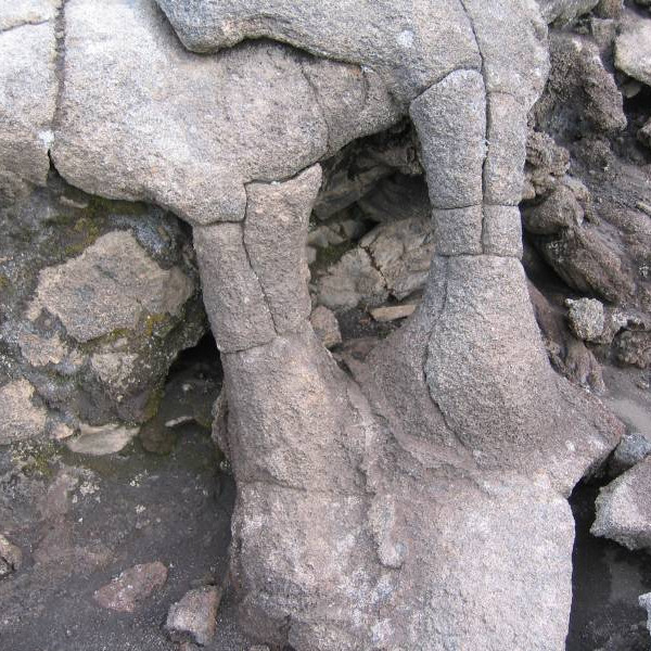 Hraunið getur tekið á sig hinar ýmsustu myndir.