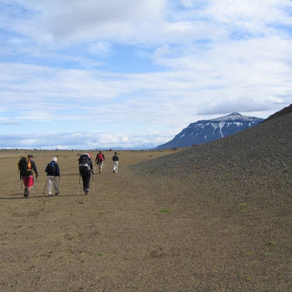 Eyðimerkurgangan hafin.