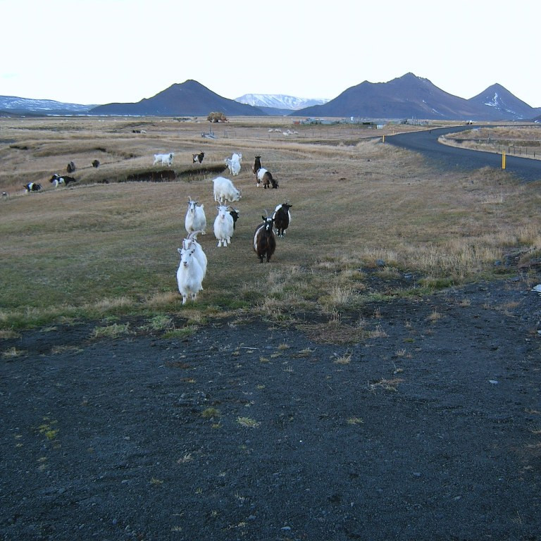 forsida-62-47129ad8b5aa0-1