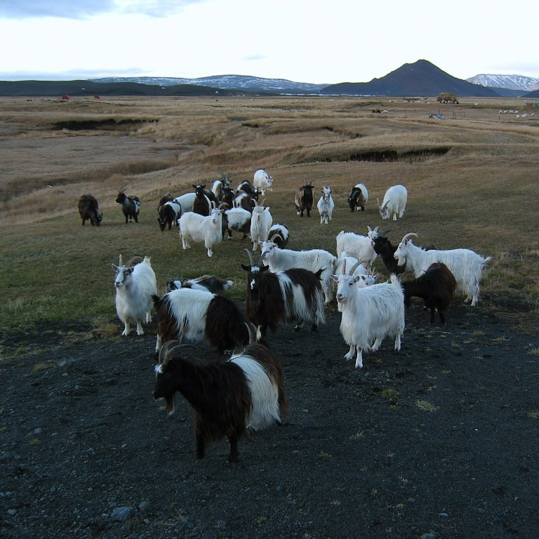 forsida-62-47129ad9bd756-1