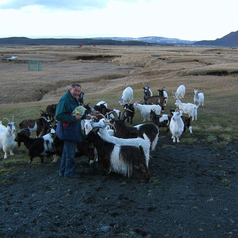 forsida-62-47129adc07c6e-1