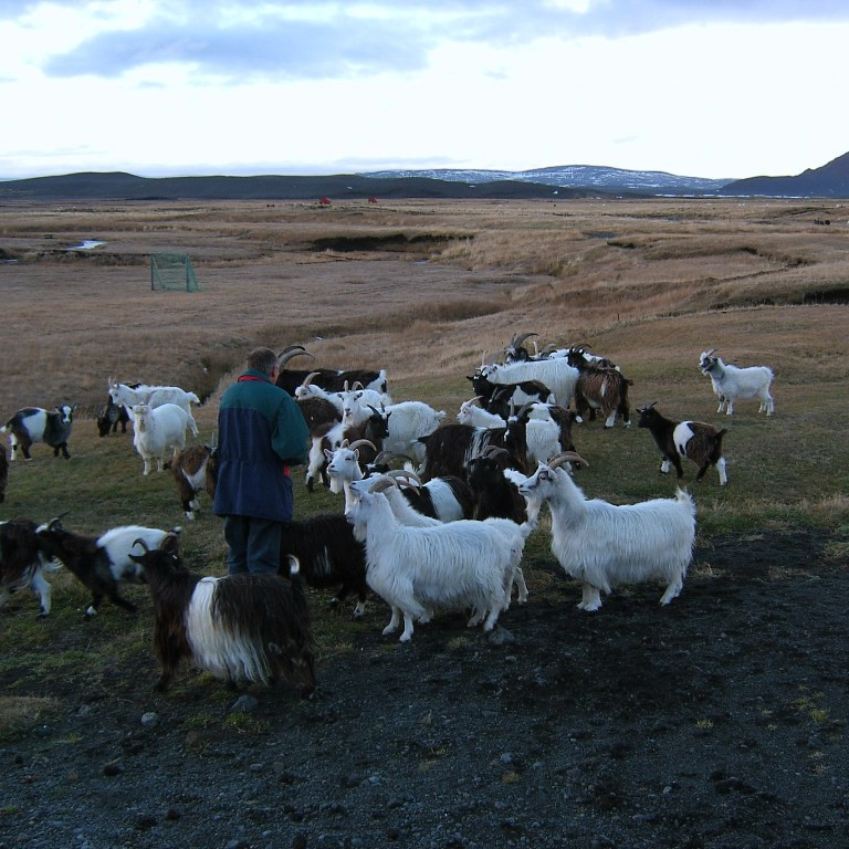 forsida-62-47129ade50003-1