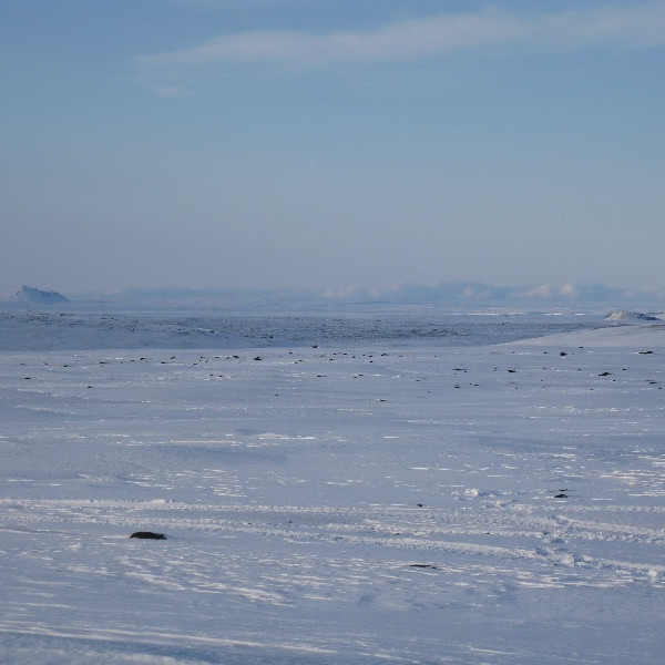 Hrossaborg og Eilífur