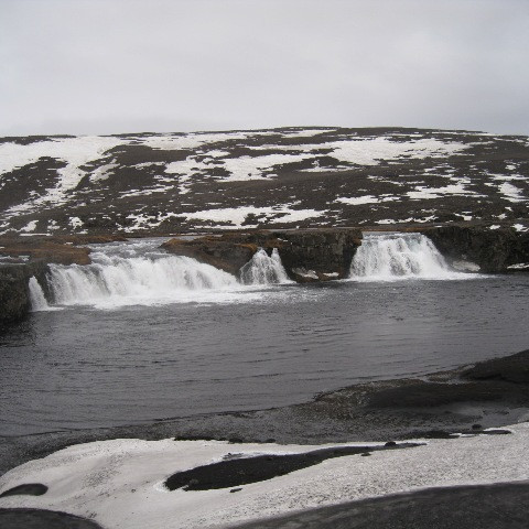 Skínandi í Svartá