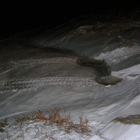 forsida-44-45bd10733d7f4-1