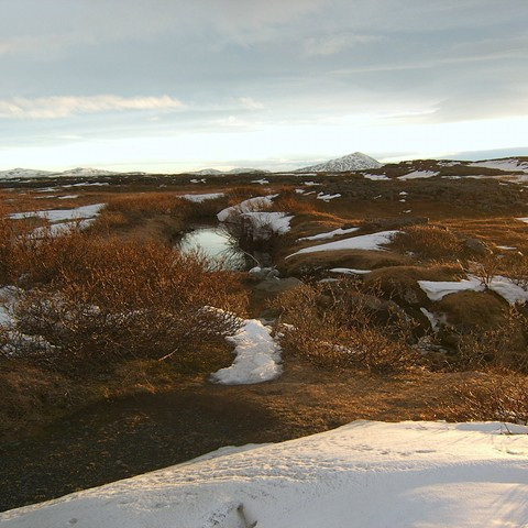 forsida-44-45bd109161609-1