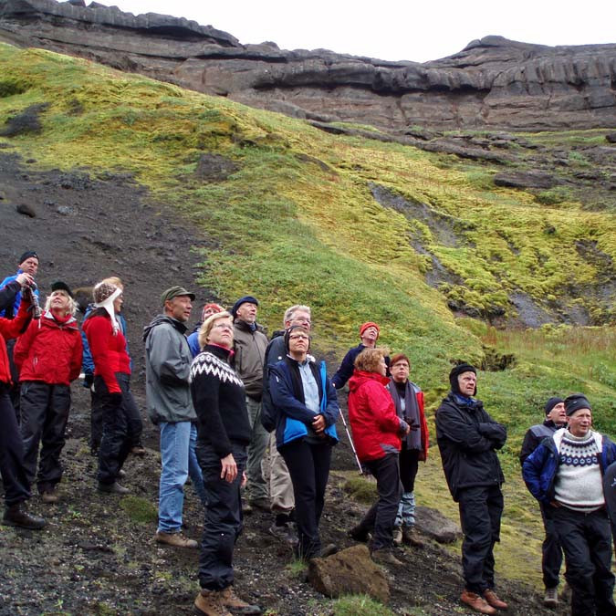 Gróðurvin innarlega í Nautagili.