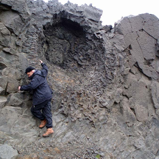 Bergrósin í Nautagili.