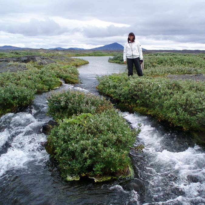 Fallegar flúðir norðan Álftavatns í Herðubreiðarlindum.