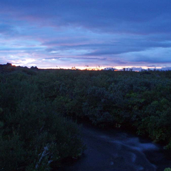 Kvöldstemming í Herðubreiðarlindum þ. 7. ágúst.