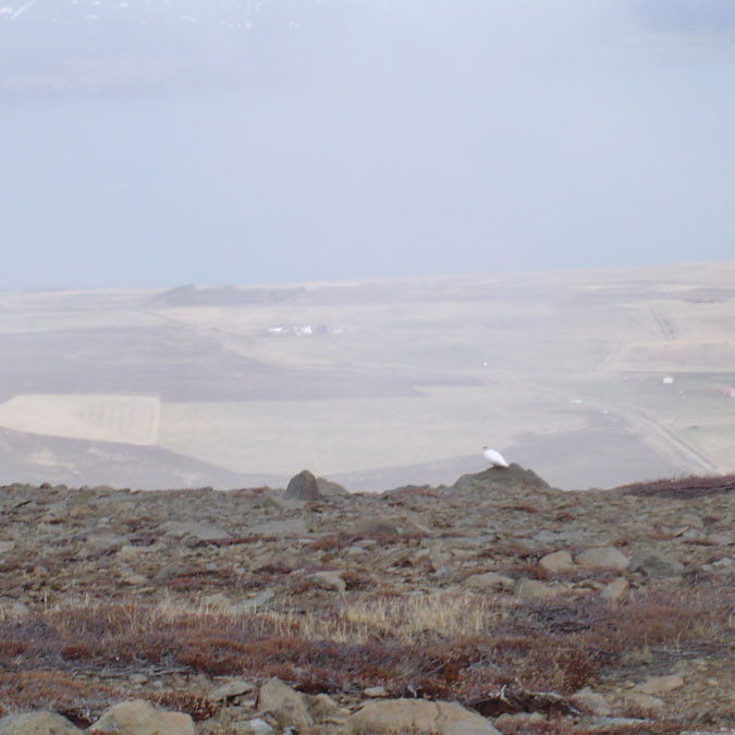 Séð niður á Galmarströnd