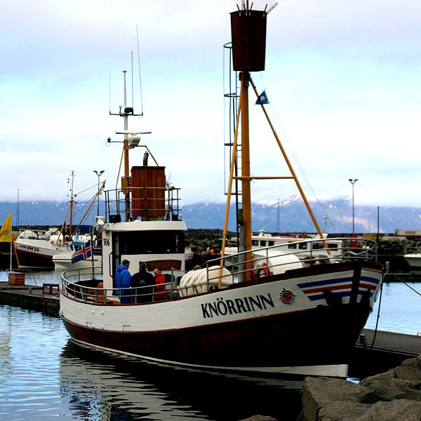 forsida-58-46acd464a0667-1