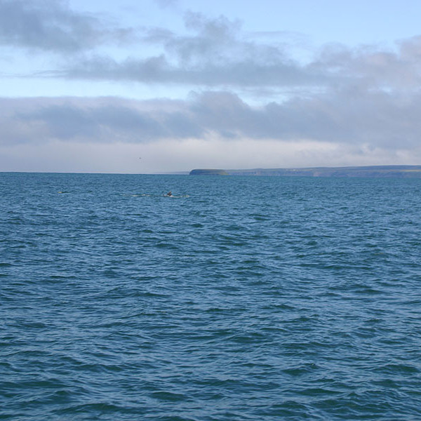 forsida-58-46acd5c108967-1