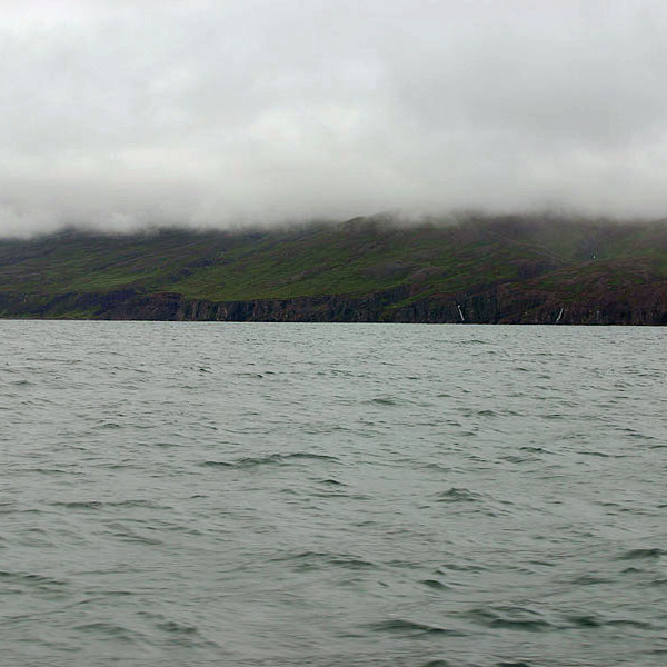 forsida-58-46acd607537aa-1