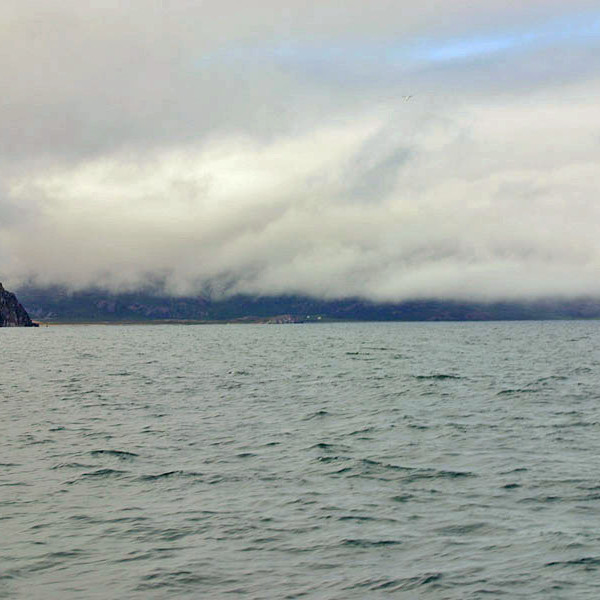 forsida-58-46acd6161f729-1