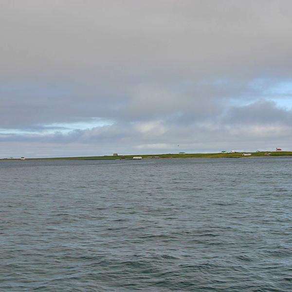 forsida-58-46acd65793721-1